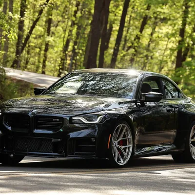 Black BMW M2 carving a tree-lined mountain road